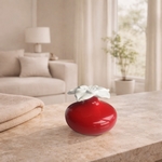 Diffuseur par Capillarité<br/>Narcisse Rouge - DCRR