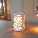 Diffuseur par Chaleur Douce<br />CALORYA N° 5
