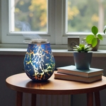 11 Diffuseur par Chaleur Douce CALORYA N° 10 + 1 Offert