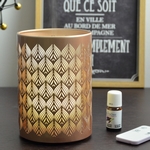 6 Diffuseurs Ultrasoniques Vienne + 6 Synergies Offertes