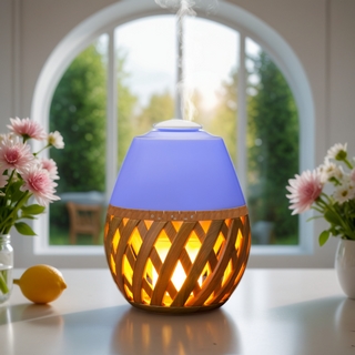 Diffuseur Ultrasonique Dolsia