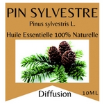 Huiles Essentielles Pin Sylvestre - 10 ml