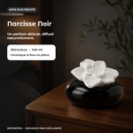 Diffuseur par Capillarité<br/>Narcisse Noir - DCRN