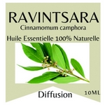 Huiles Essentielles Ravintsara - 10 ml