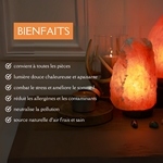 Lampe USB  en Cristal de Sel d'Himalaya Rock