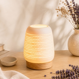 Diffuseur par Chaleur Douce<br />CALORYA N° 16