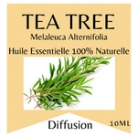 Huiles Essentielles Arbre à Thé - 10 ml