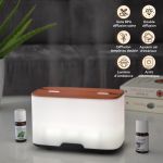 Diffuseur Ultrasonique Duo