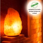 Lampe en Cristal de Sel d'Himalaya de 4 à 6 kg  