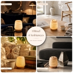 Diffuseur par Chaleur Douce<br />CALORYA N° 16