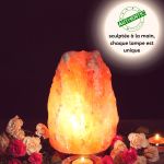 Lampe en Cristal de Sel d'Himalaya de 2 à 3 kg  