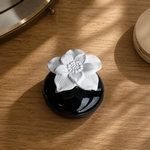 Diffuseur par Capillarité<br/>Narcisse Noir - DCRN