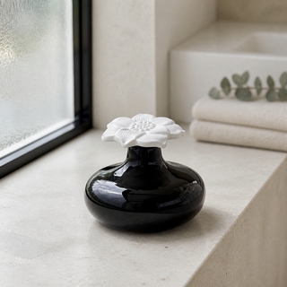 Diffuseur par Capillarité<br/>Narcisse Noir - DCRN