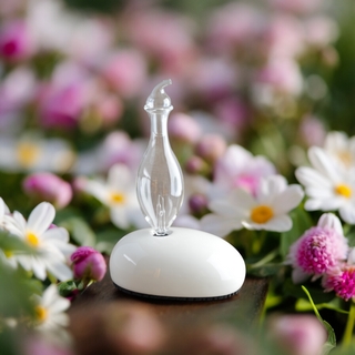 Diffuseur d'huiles essentielles DAN