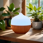 Diffuseur Ultrasonique Boopi