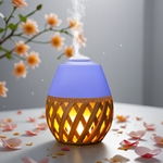 Diffuseur Ultrasonique Dolsia