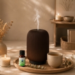 Diffuseur Ultrasonique Eluné