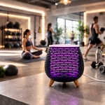 Diffuseur Ultrasonique Leni