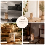 Diffuseur par Chaleur Douce<br />CALORYA N° 15