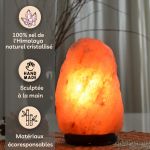 Lampe en Cristal de Sel d'Himalaya de 4 à 6 kg  