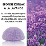 Eponge KONJAC<br />à la lavande