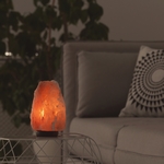Lampe en Cristal de Sel d'Himalaya de 2 à 3 kg  