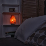 Lampe en Cristal de Sel d'Himalaya de 2 à 3 kg  