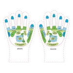 Gants Réflexologie Adoucissants - ZENC5